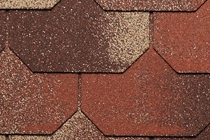 Liberty-2 Tone Brown
